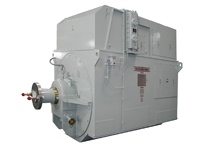 Generator for steam turbine