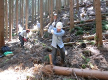 [Image] Participation in Toshiba's project of planting a forest of 1.5 million trees